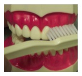 toothbrush San Francisco
